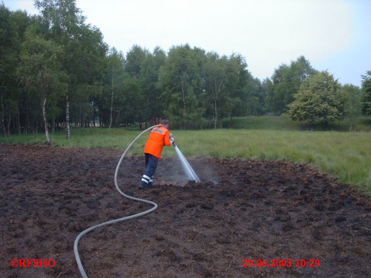 Moorbrand, Schönewörde Grosses Moor 29.06.2003