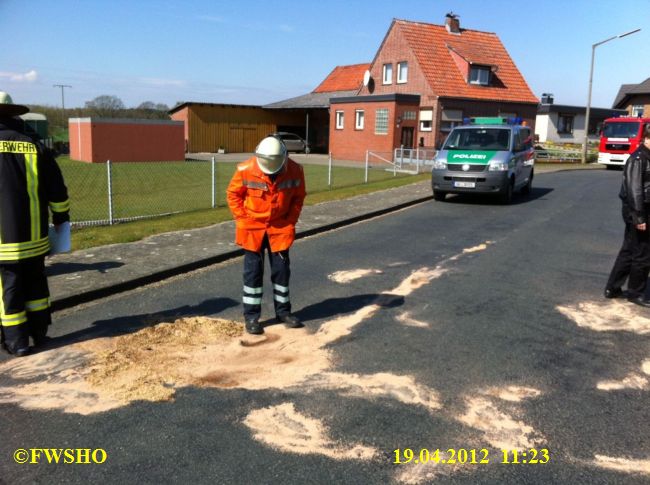 Oelspurbeseitigung nach VU