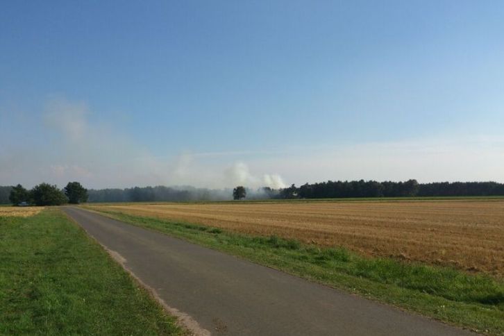 Flächenbrand Kl. Oesingen