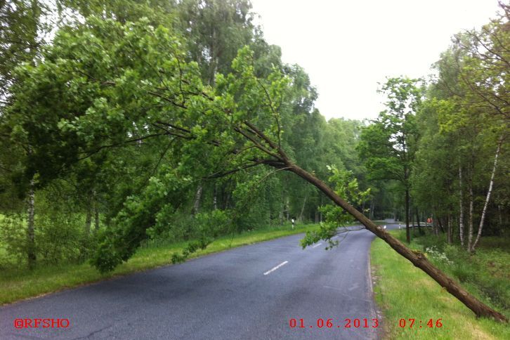 Baum über der Straße K31 Ri. Platendorf