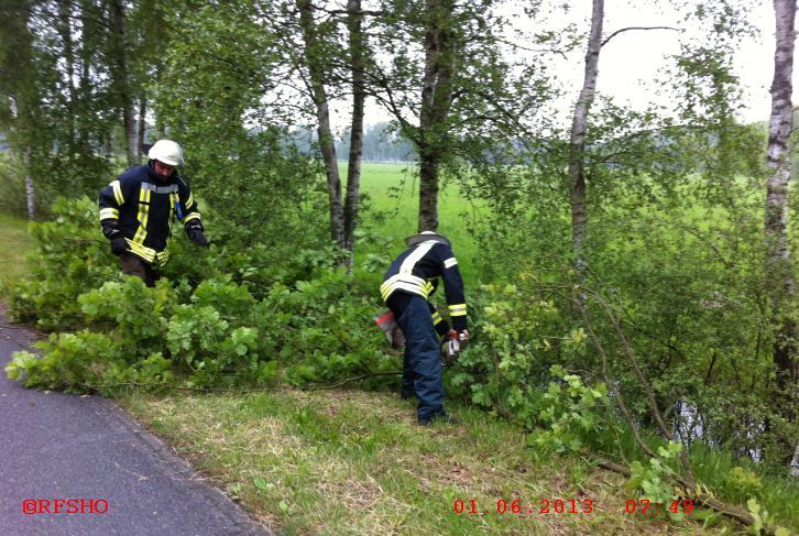 Baum über der Straße K31 Ri. Platendorf