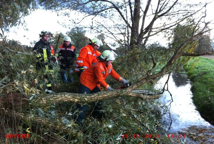 Baum im Wasser (Riet) Lindenstraße