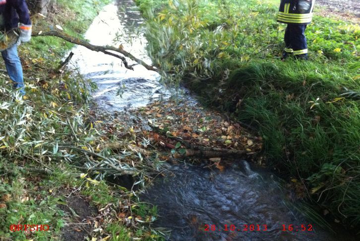 Baum im Wasser (Riet) Lindenstraße