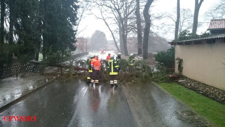 Sturmschaden, Baum auf Ringstraße