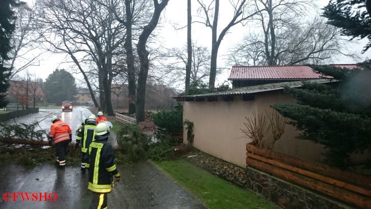 Sturmschaden, Baum auf Ringstraße