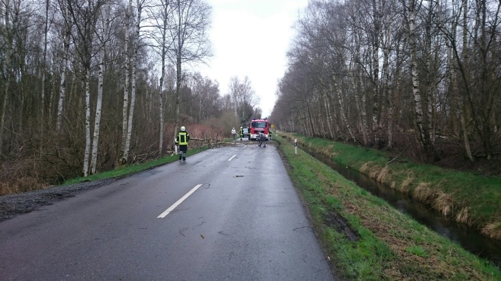 Sturmschaden, Baum auf PKW K 31