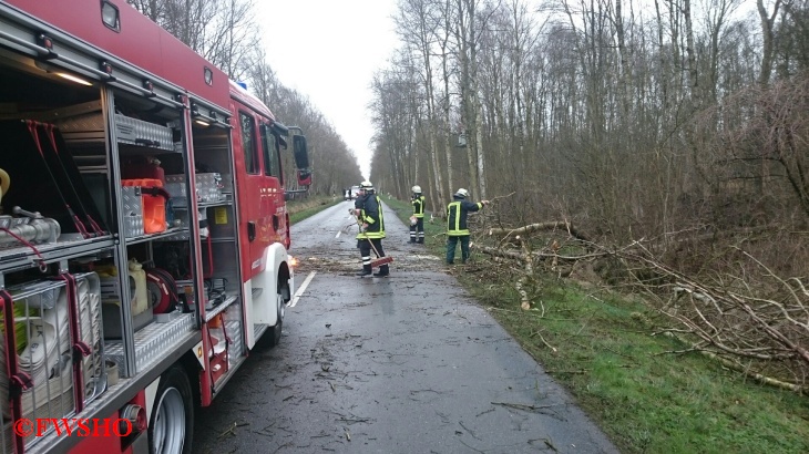 Sturmschaden, Baum auf PKW K 31