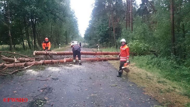 Sturmschaden, Baum auf K 31