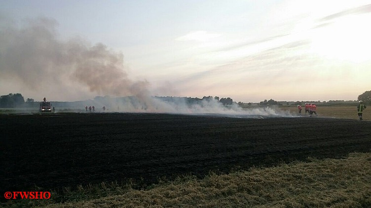 Brandeinsatz, Flächenbrand, Moor am 1. Querdamm