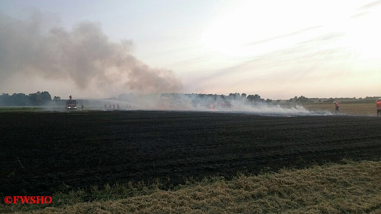 Brandeinsatz, Flächenbrand, Moor am 1. Querdamm