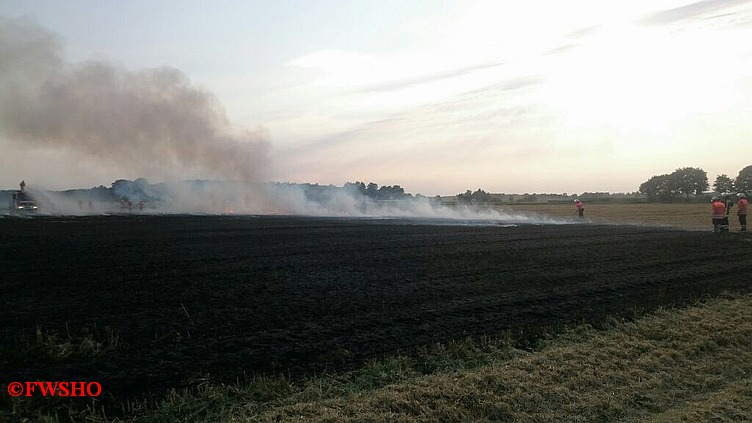 Brandeinsatz, Flächenbrand, Moor am 1. Querdamm