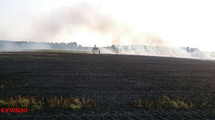 Brandeinsatz, Flächenbrand, Moor am 1. Querdamm