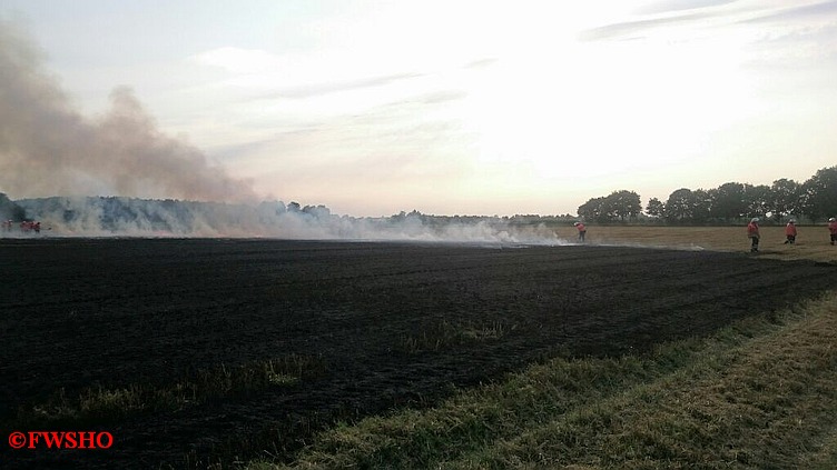 Brandeinsatz, Flächenbrand, Moor am 1. Querdamm