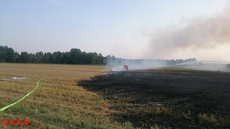 Brandeinsatz, Flächenbrand, Moor am 1. Querdamm