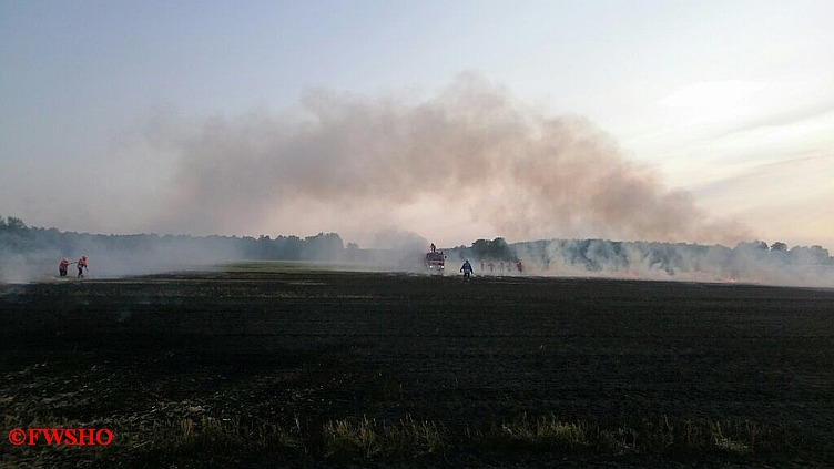 Brandeinsatz, Flächenbrand, Moor am 1. Querdamm