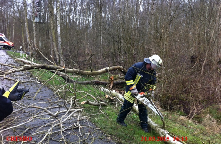 Sturmschaden, Baum auf PKW K 31