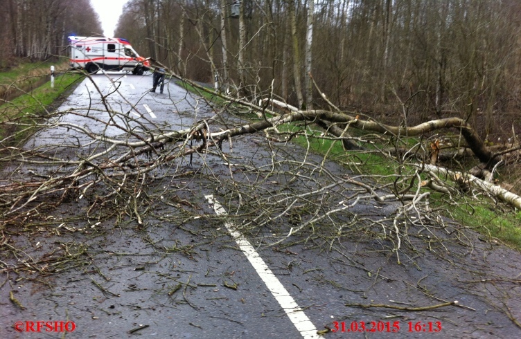 Sturmschaden, Baum auf PKW K 31