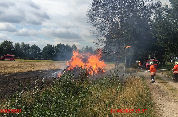 Brandeinsatz, Flächenbrand, Landgraben