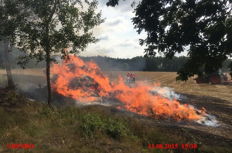 Brandeinsatz, Flächenbrand, Landgraben