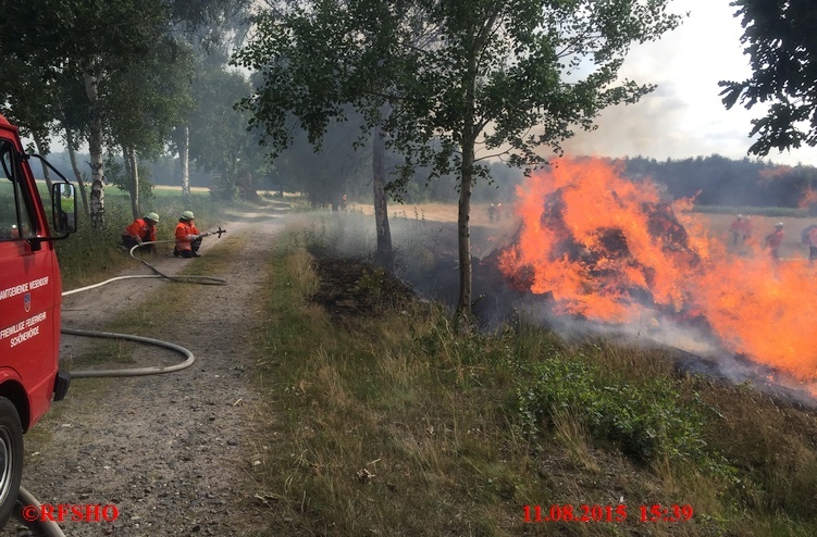 Brandeinsatz, Flächenbrand, Landgraben