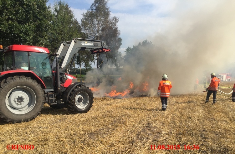 Brandeinsatz, Flächenbrand, Landgraben