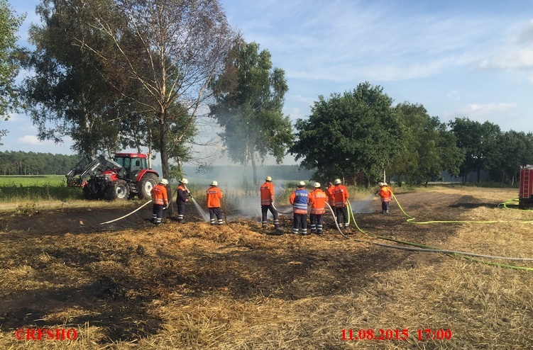 Brandeinsatz, Flächenbrand, Landgraben