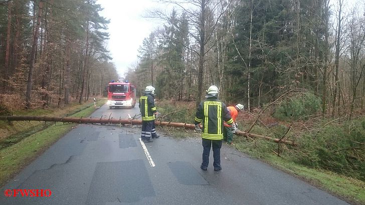 Techn. Hilfe Baum auf K 31