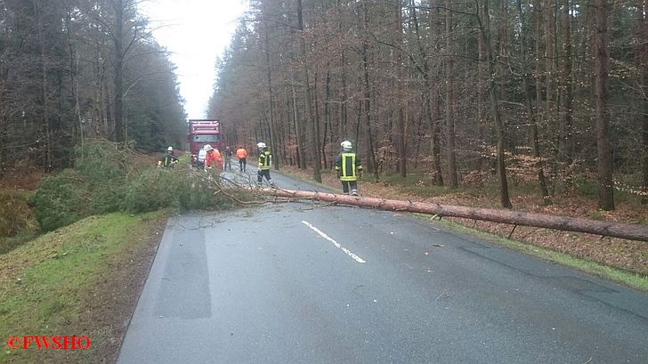 Techn. Hilfe Baum auf K 31