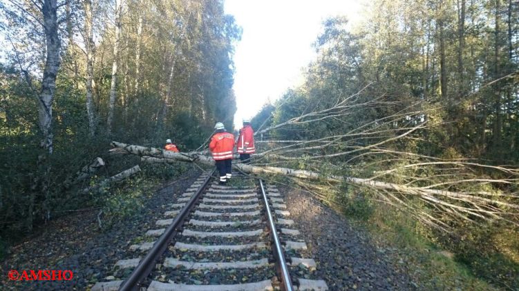 Baum auf Bahnlinie