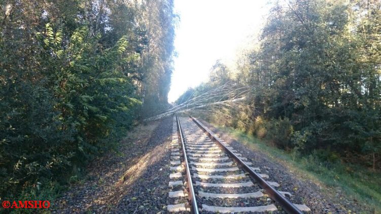 Baum auf Bahnlinie