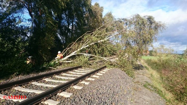 Baum auf Bahnlinie