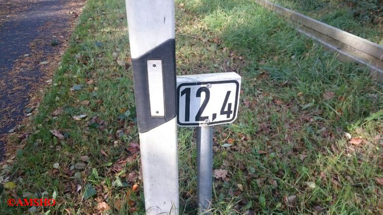 Baum auf Straße,  K 31