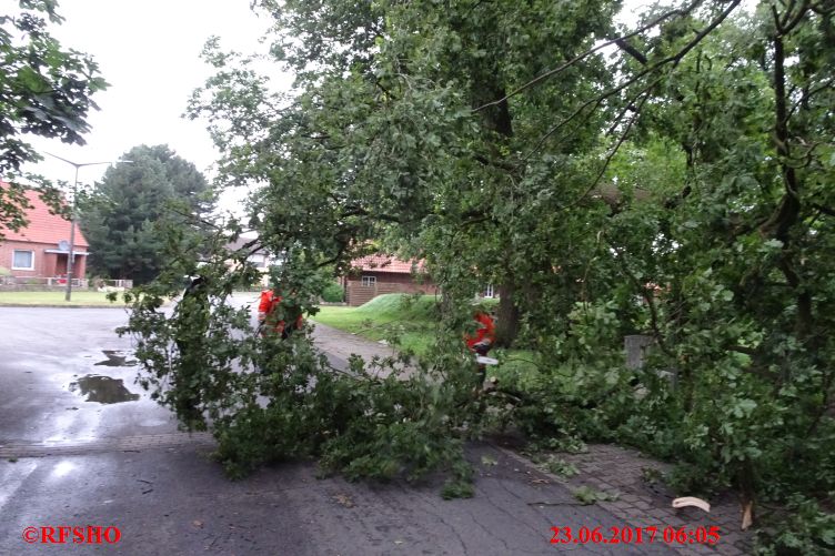 Baum auf Straße, Ringgstraße