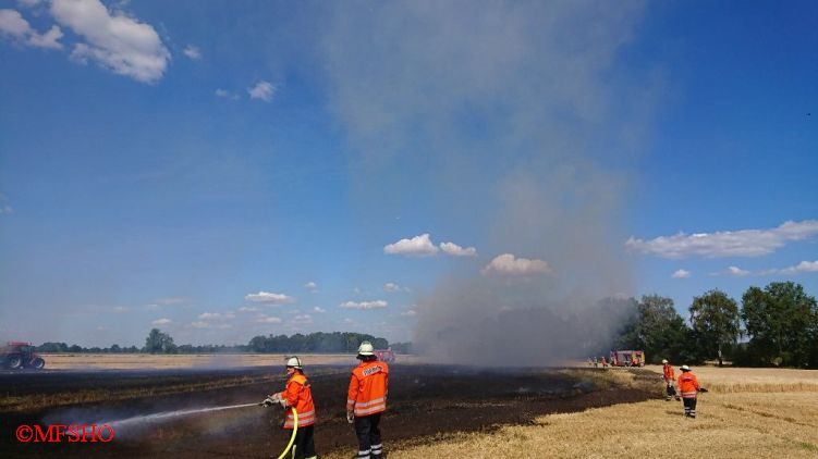 Flächenbrand 1. Moordamm