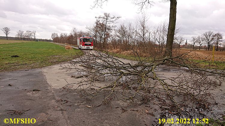 Baum am Wasserwerk Baum am Wasserwerk