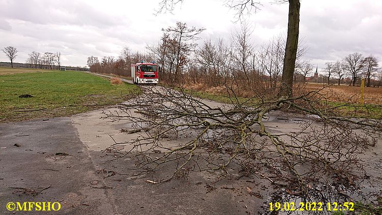 Baum am Wasserwerk