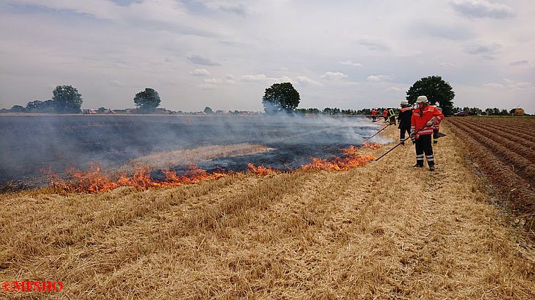 WB_3 Flächenbrand Stoppelfeld Hässelrehm Betzhorn