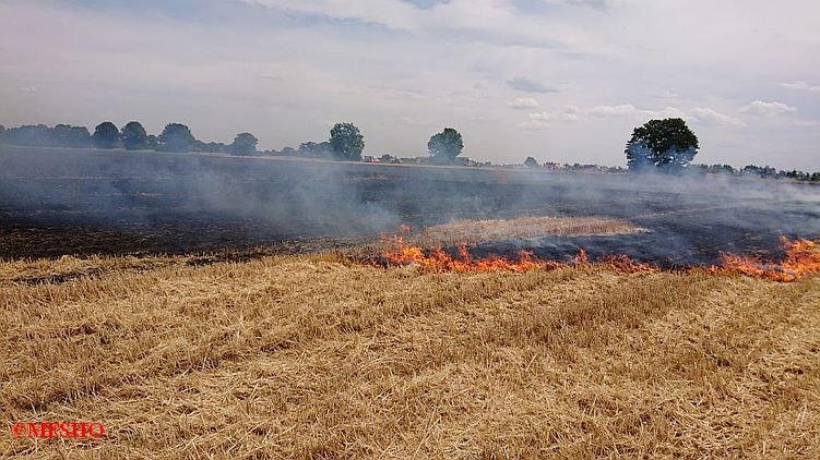 WB_3 Flächenbrand Stoppelfeld Hässelrehm Betzhorn