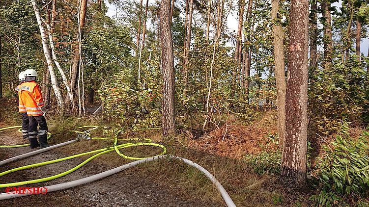 WB_3 Stoppelfeldbrand mehrere Brandstellen K4 Teichgut Ri. Groß Oesingen WB_3 Stoppelfeldbrand mehrere Brandstellen K4 Teichgut Ri. Groß Oesingen