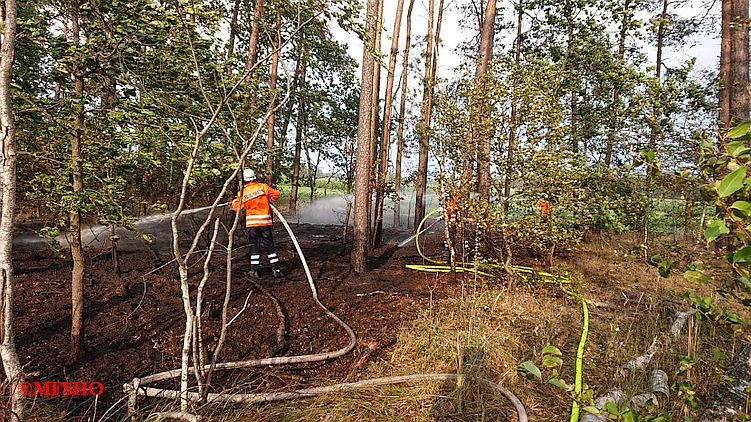 WB_3 Stoppelfeldbrand mehrere Brandstellen K4 Teichgut Ri. Groß Oesingen WB_3 Stoppelfeldbrand mehrere Brandstellen K4 Teichgut Ri. Groß Oesingen