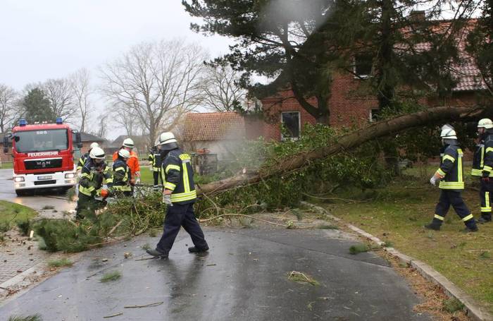 In Schönewörde musste die Feuerwehr auch noch am Vormittag einen umgestürtzen Baum<br>von der Fahrbahn der Ringstraße entfernen. Foto: GADES