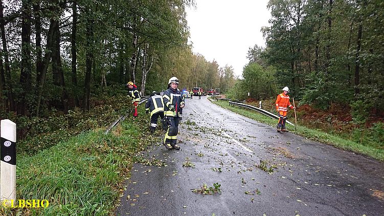 H_1 Baum auf Straße K31