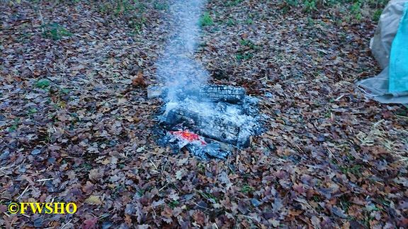 B1 Brennt Baumstumpf K31 Ri. Neud.Platenborf