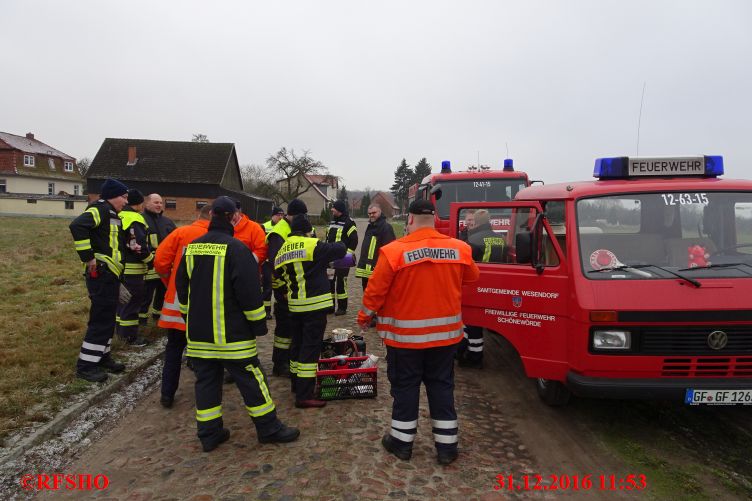 Die Feuerwehrabordnung aus Schönewörde und Abbendorf