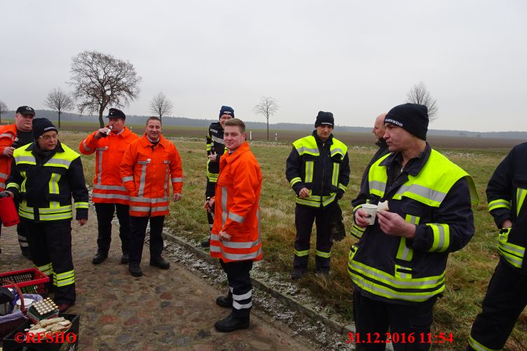 Die Feuerwehrabordnung aus Schönewörde und Abbendorf