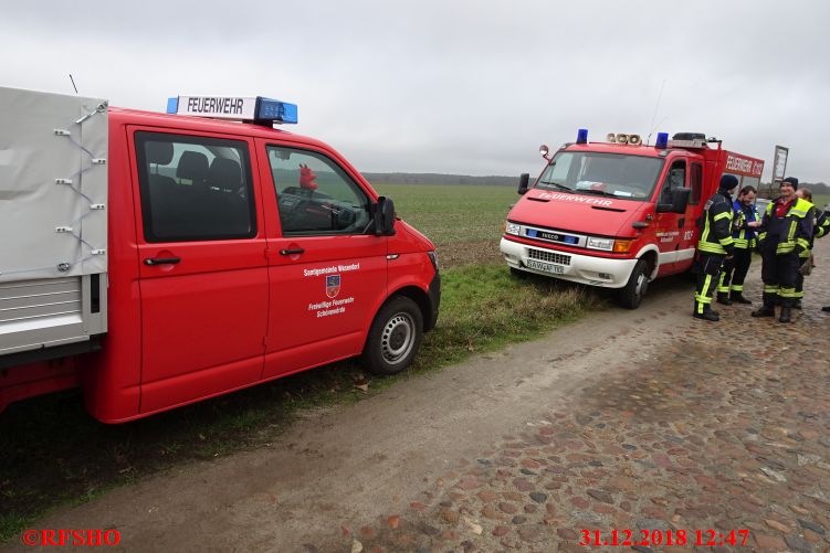 Die Feuerwehrabordnung aus Schönewörde und Abbendorf