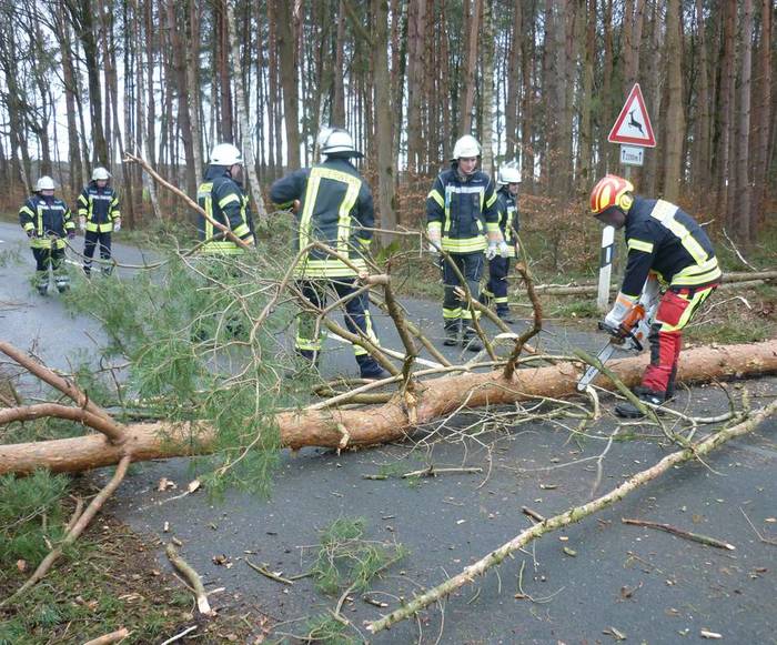 Die Feuerwehr Schönewörde bei Räumarbeiten an der K 31 (Schönewörde-Platendorf). Foto: Gades Die Feuerwehr Schönewörde bei Räumarbeiten an der K 31 (Schönewörde-Platendorf). Foto: gades